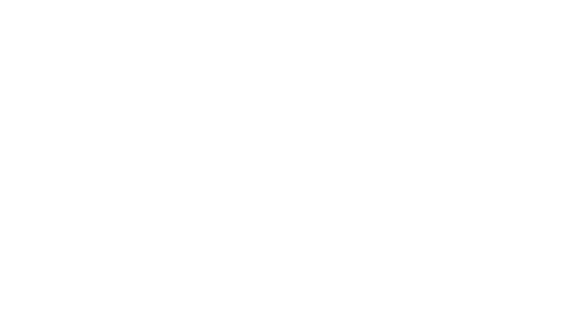 #somosleoes